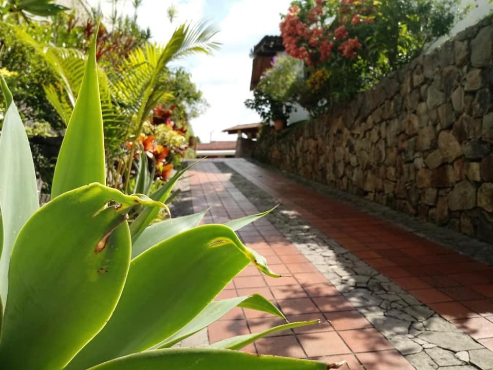 Hotel Alamo Internacional Сан-Сальвадор Экстерьер фото